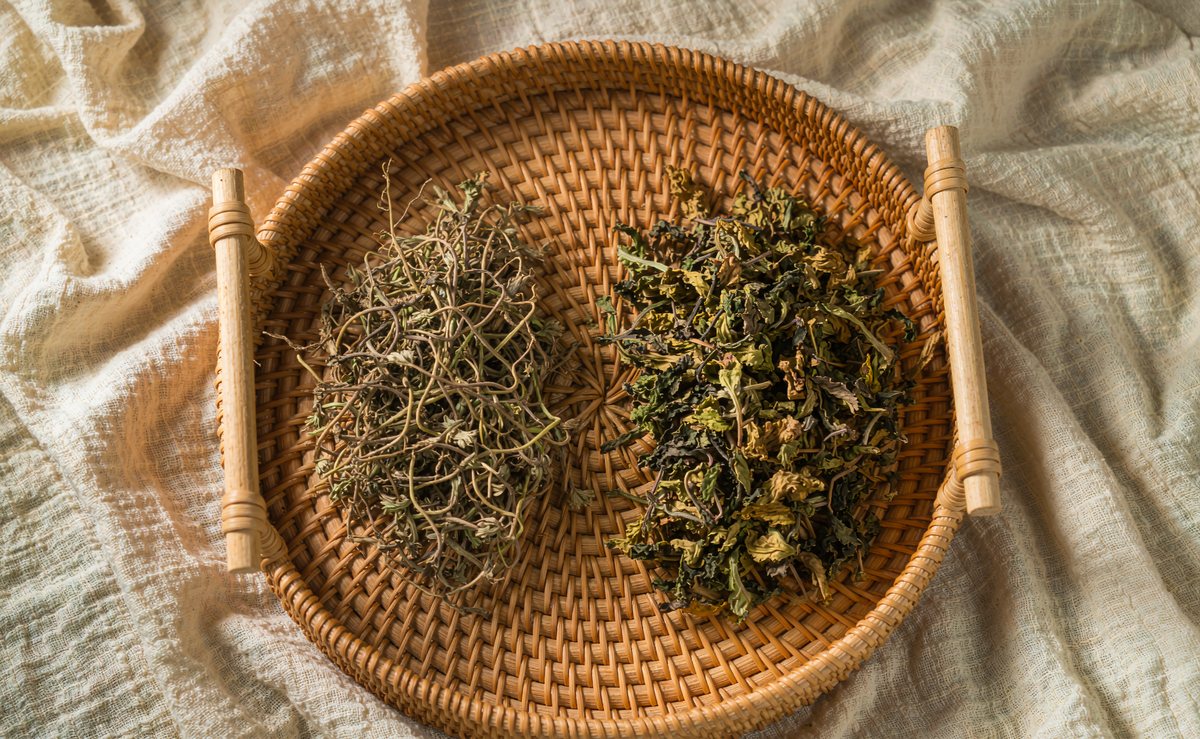 中药饮片实拍