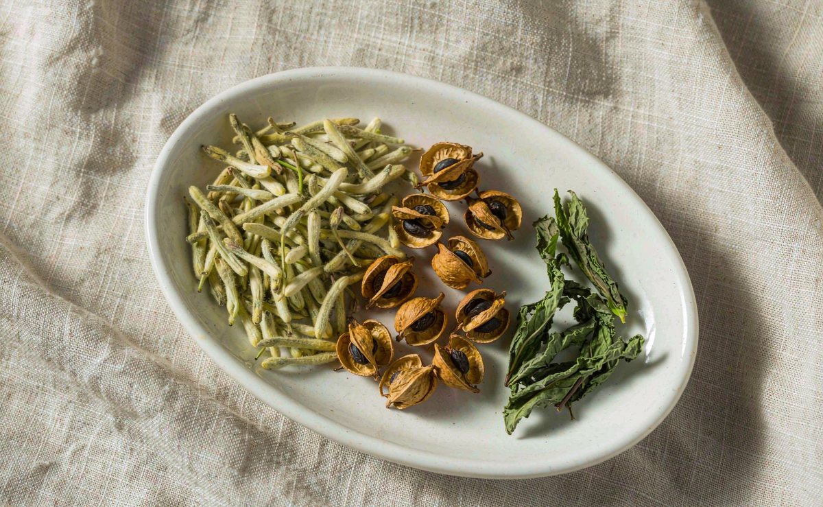中药饮片实拍